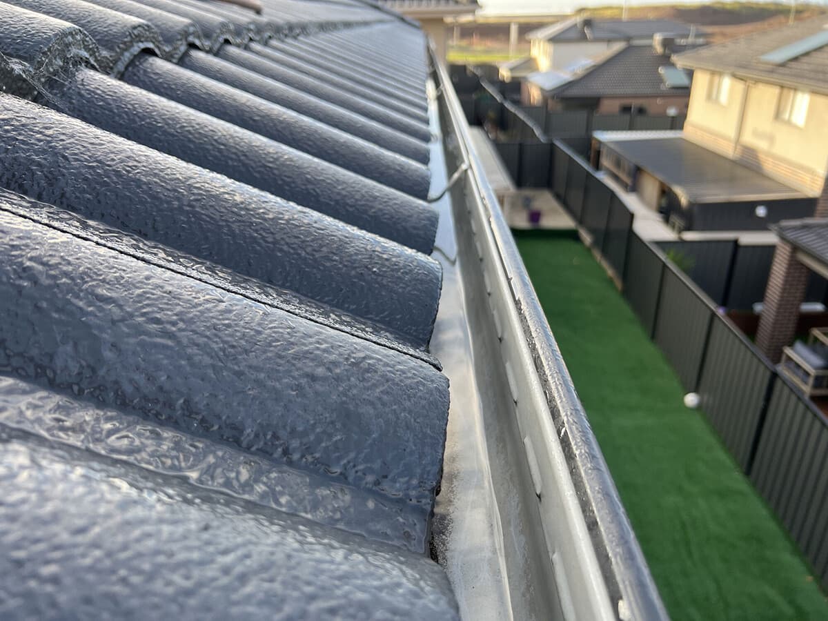 Gutter Cleaning