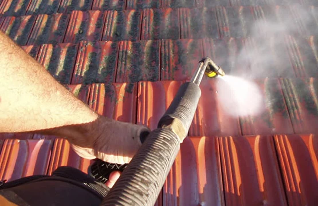 Moss & Lichen Removal
