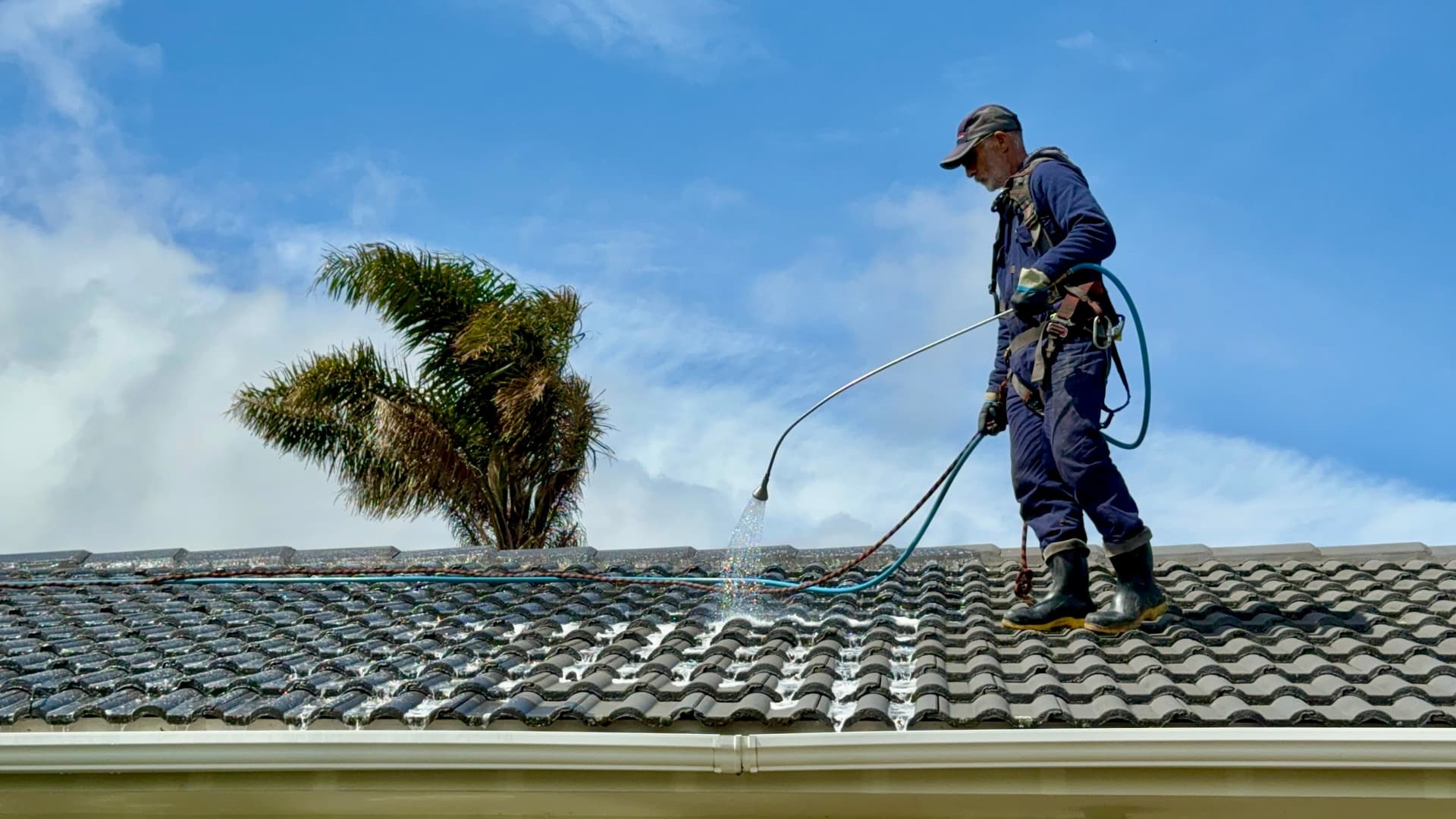 Professional Expert Roof Cleaning Services in Sydney - Preventative Treatment in Sydney