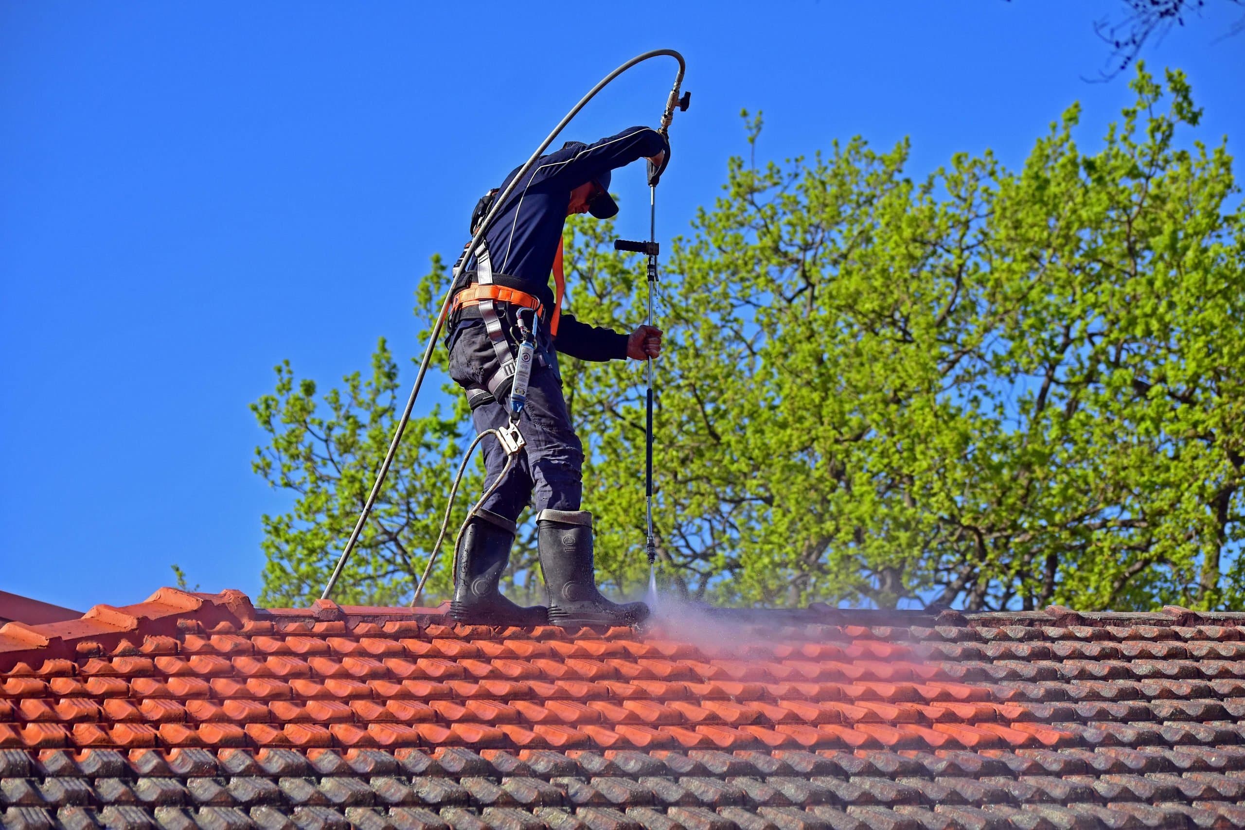 Professional roof cleaning service in Sydney removing moss and algae