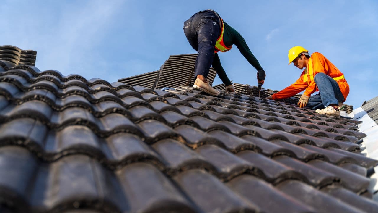 Professional roof replacement project in Sydney showing old roof removal and new installation