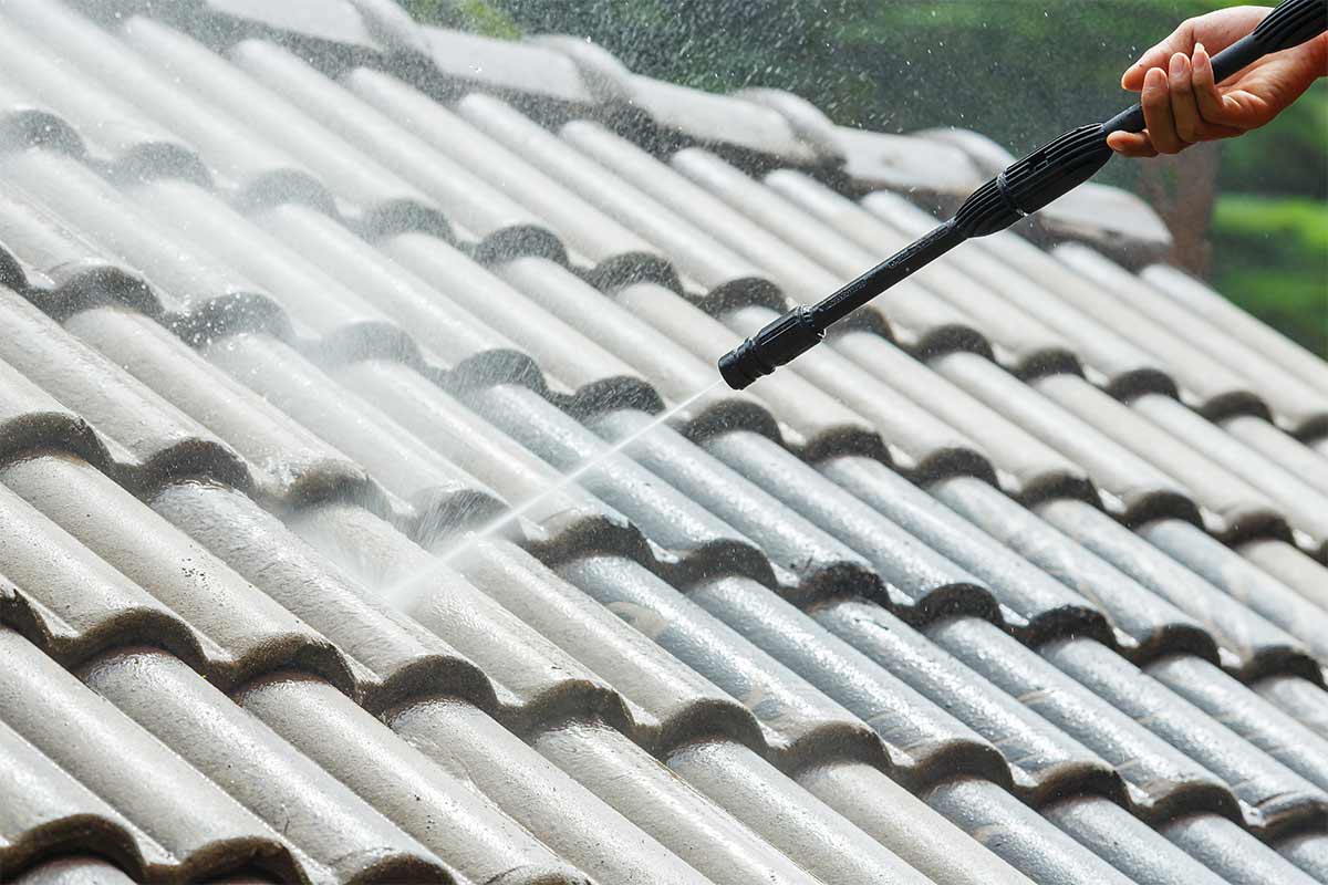 Thorough Roof Cleaning