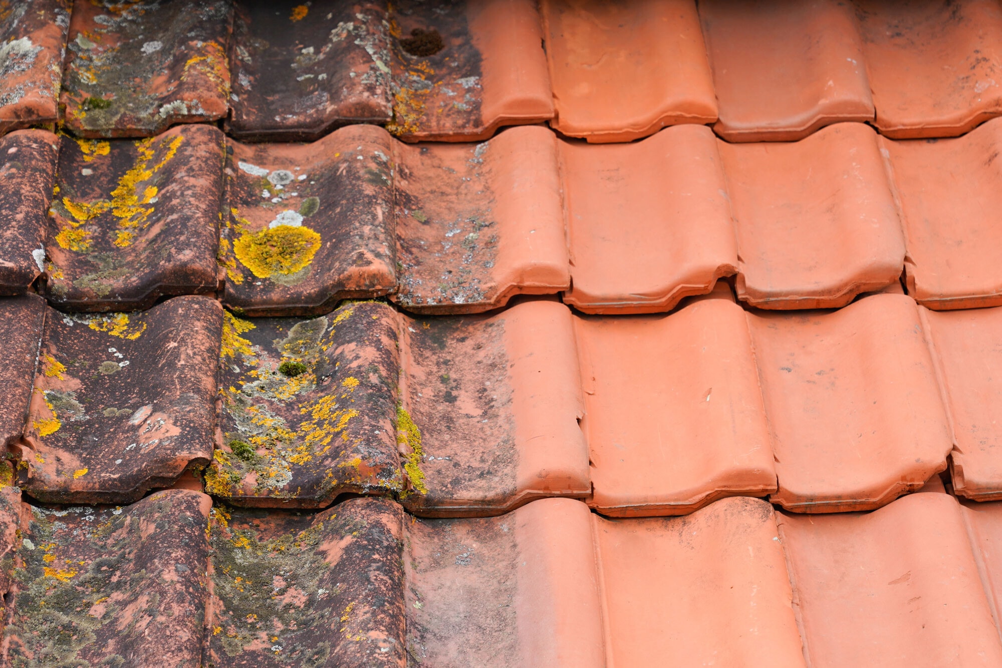 Is Roof Cleaning Worth It? The Real Benefits for Sydney Homeowners
