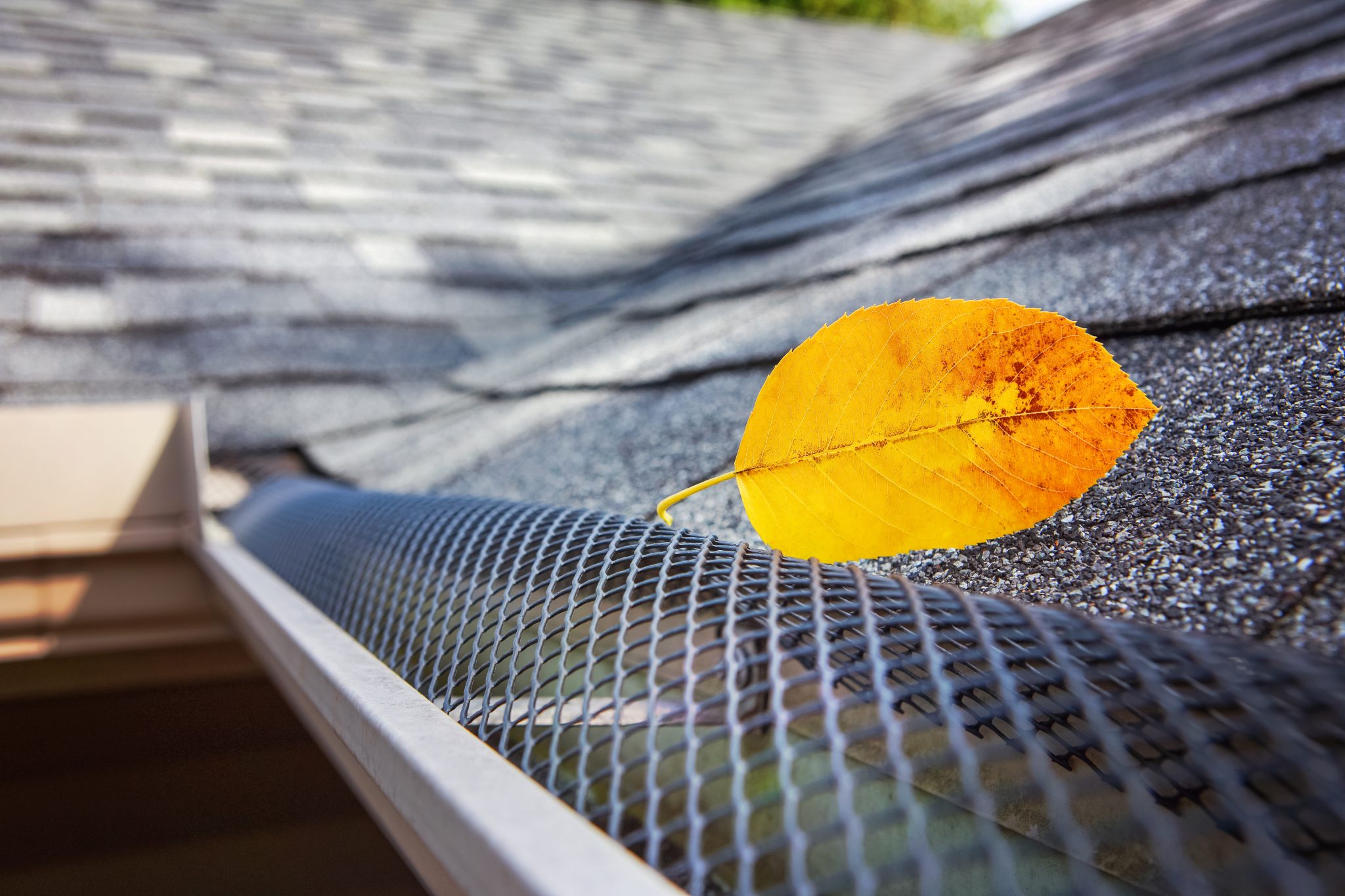 Gutter Guard Installation