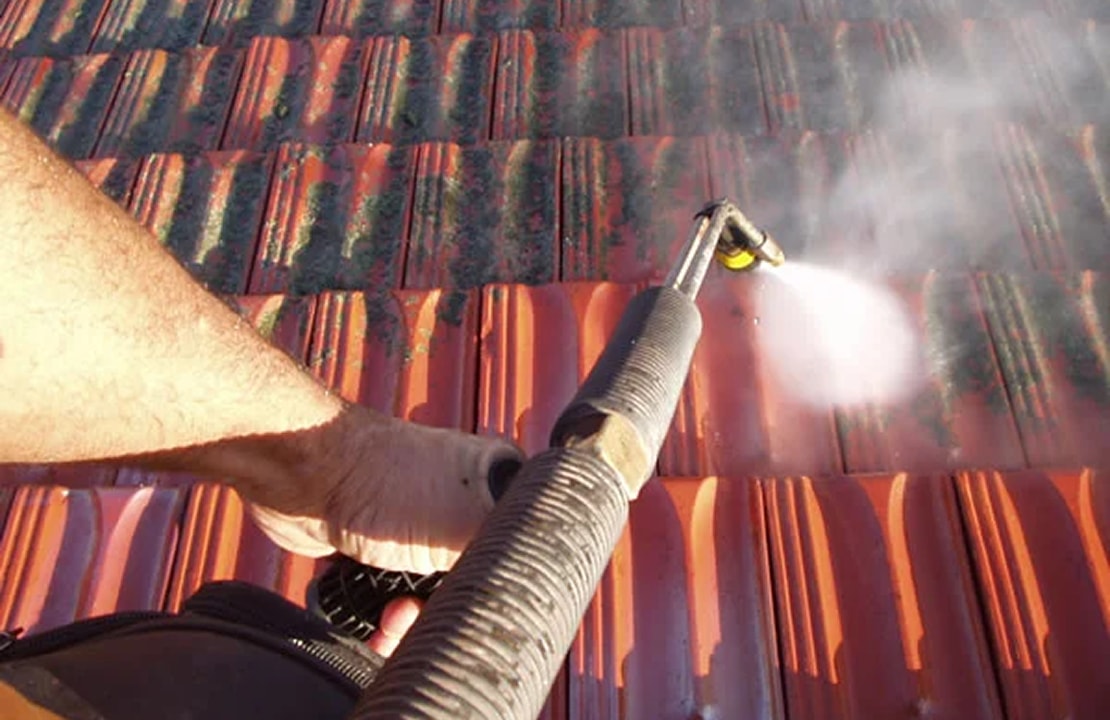 Moss & Lichen Removal