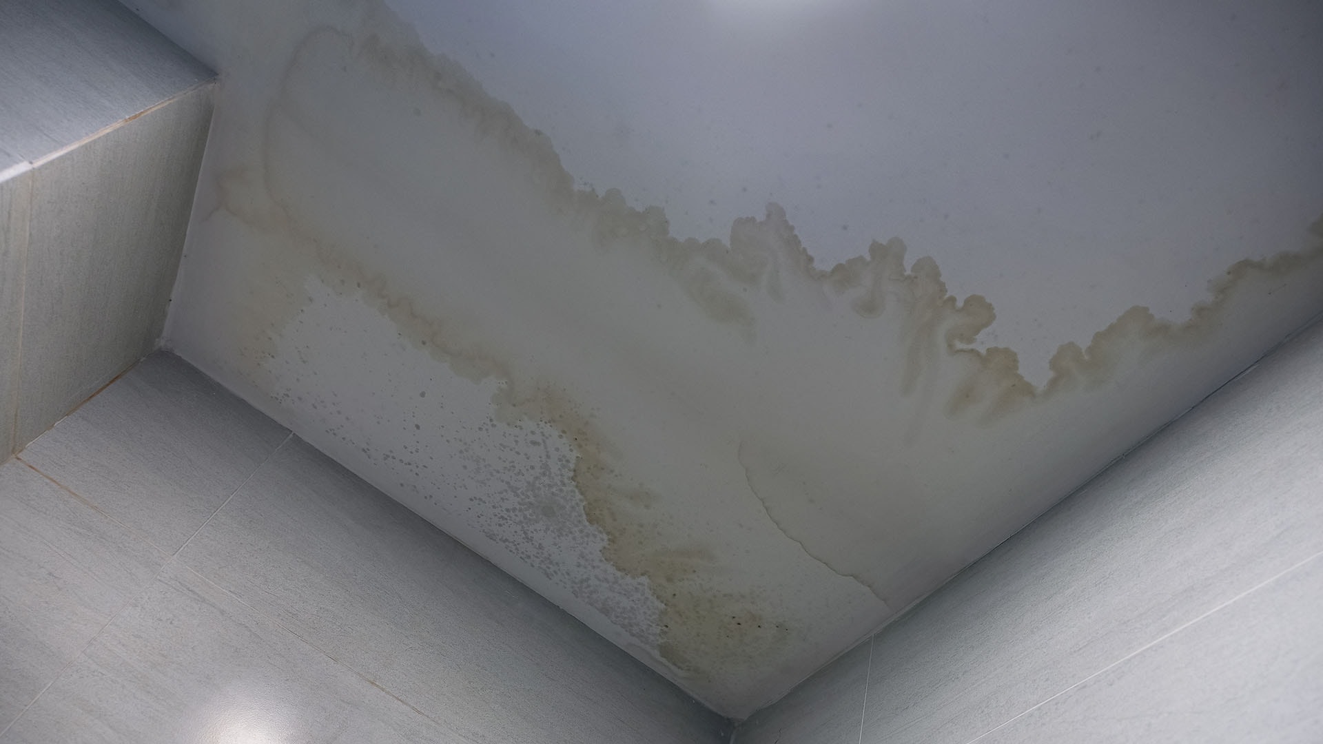Professional roof leak detection service in Sydney using thermal imaging technology
