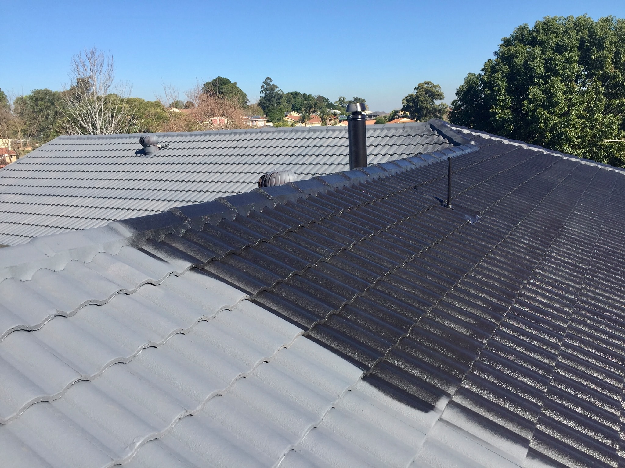 Professional roof painting service in Sydney applying premium roof coating